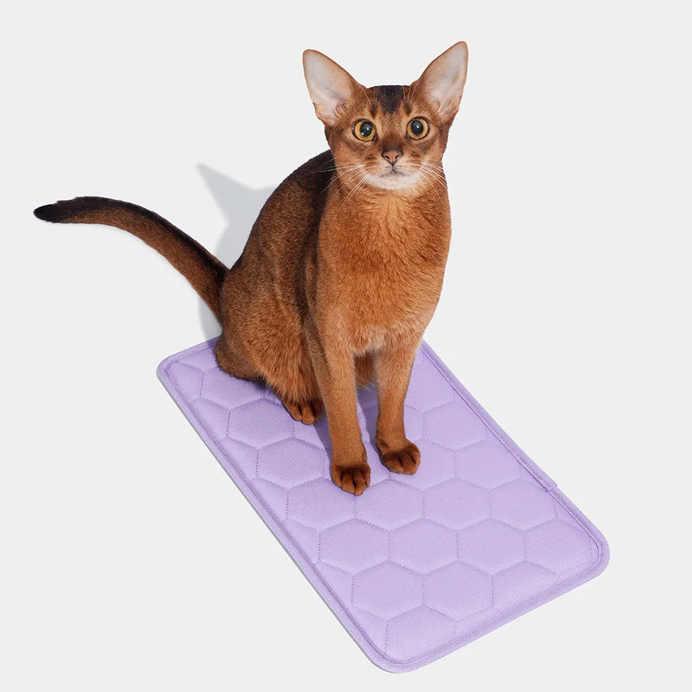 VETRESKA Violet Voyage Carrier For Cats & Dogs